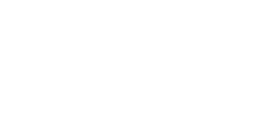Amego