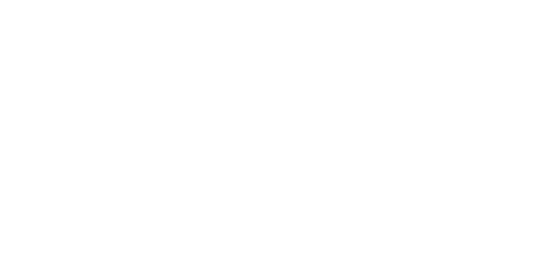 BionX