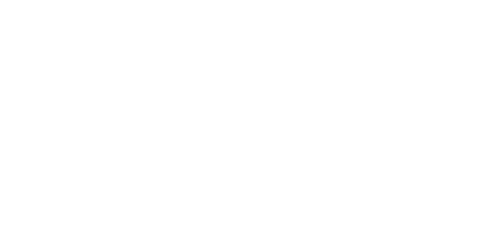 Bodhi