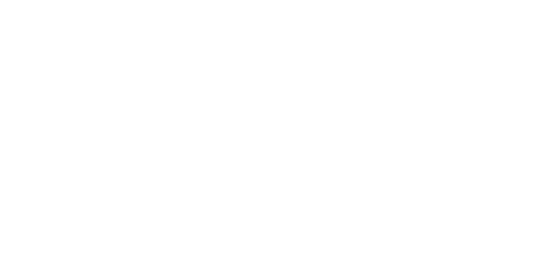 Bunch Bikes