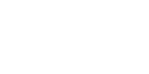 Ecotric