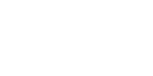 EVELO