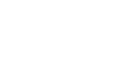 Fantic