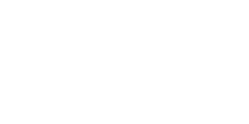 Flash