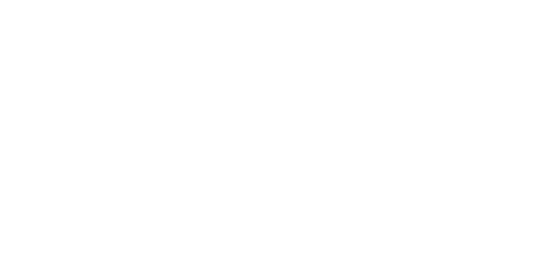 Flight