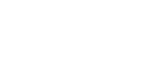 iGO Electric