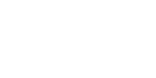 Juiced Bikes