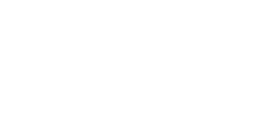 Momentum
