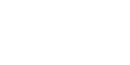 Niner