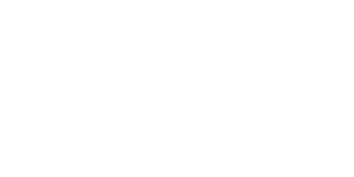 PEGASUS
