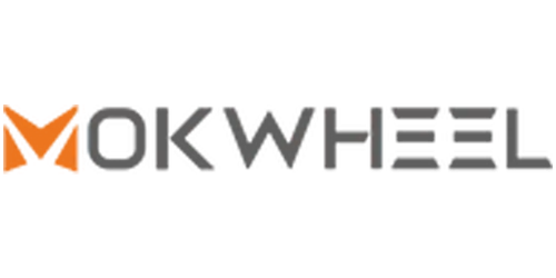 Mokwheel Electric Bike Reviews, Year: Old to New
