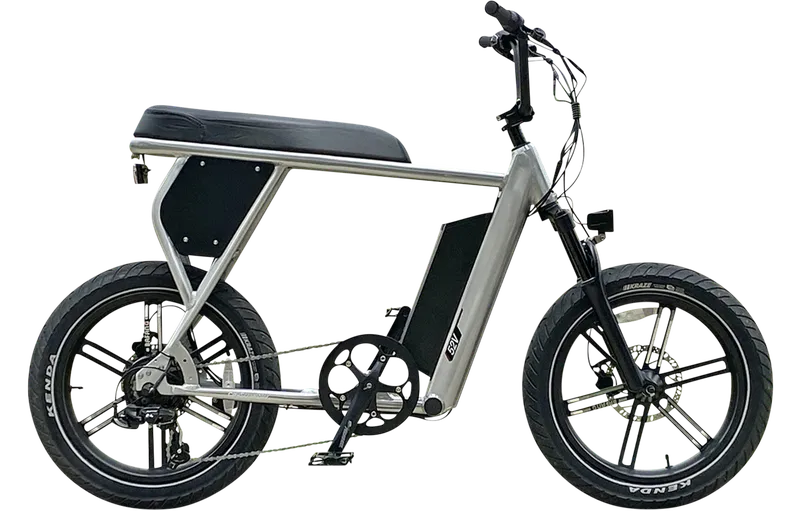 Minibike Electric Bike Reviews