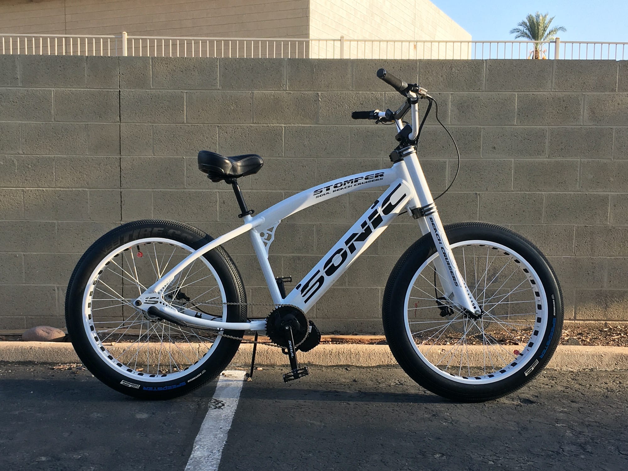 fast cheap ebike