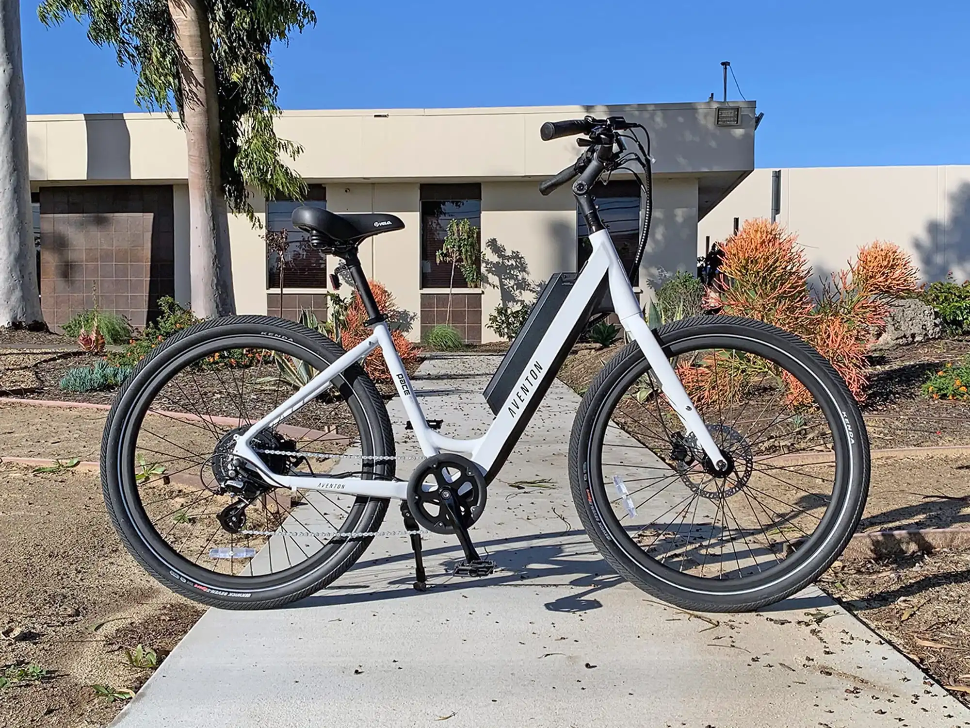 aventon pace 500 weight