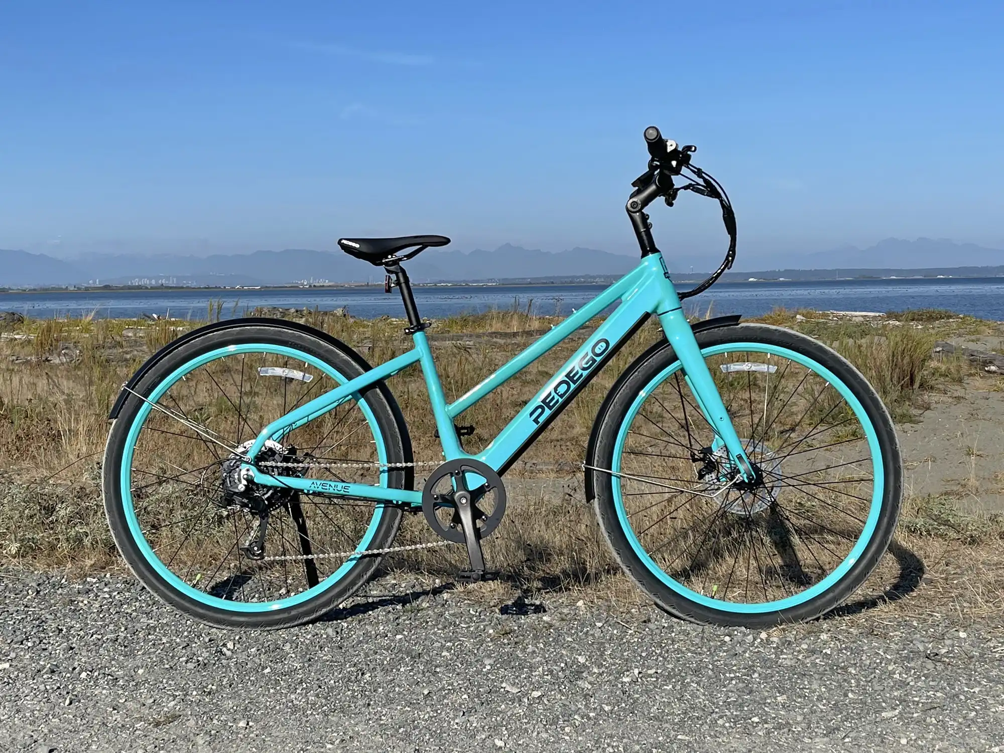 pedego electric bike city commuter