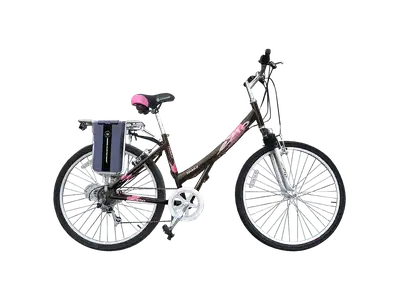 ezip trailz bike